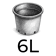 P6L