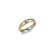Bicolor Zilver + Goud