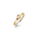 Goudkleurig