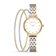 Bicolor Zilver + Goud