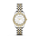 Bicolor Zilver + Goud