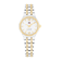 Bicolor Zilver + Goud