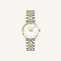 Bicolor Zilver + Goud