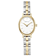 Bicolor Zilver + Goud