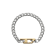 Bicolor Zilver + Goud