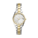 Bicolor Zilver + Goud