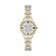 Bicolor Zilver + Goud