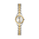 Bicolor Zilver + Goud