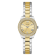 Bicolor Zilver + Goud