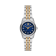 Bicolor Zilver + Goud