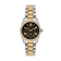Bicolor Zilver + Goud