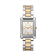 Bicolor Zilver + Goud