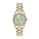 Bicolor Zilver + Goud