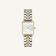 Bicolor Zilver + Goud