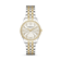 Bicolor Zilver + Goud