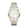 Bicolor Zilver + Goud