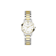 Bicolor Zilver + Goud
