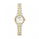 Bicolor Zilver + Goud
