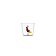 Amber Tropical Bird