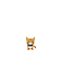 Orange Tabby 