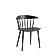 Black Beech