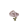 OLD ROSE