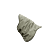 KAKI