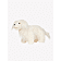 Beige Golden Retriever