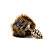 Geel