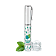 menthe