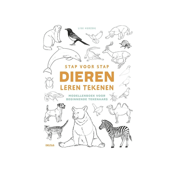 Stap Voor Stap Dieren Leren Tekenen