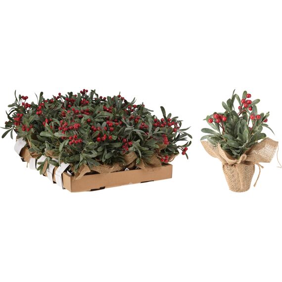 Kerstplant Met Bessen 23Cm Rood