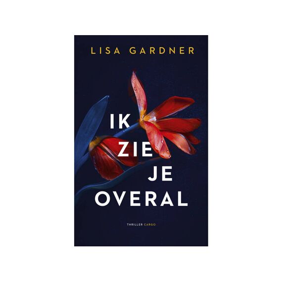 Lisa Gardner - Ik Zie Je Overal