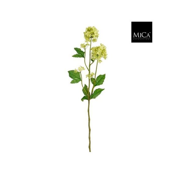 Viburnum Lichtgroen - L71,5Cm