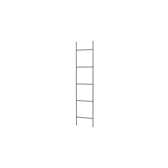 Ladder Ijzer W36-h161cm Zwart