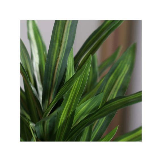 Kunstbloem Dracaena Plant In Black Plastic Pot 32Cm Assortiment Prijs Per Stuk/Kleur
