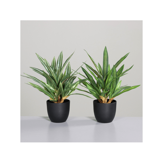 Kunstbloem Dracaena Plant In Black Plastic Pot 32Cm Assortiment Prijs Per Stuk/Kleur