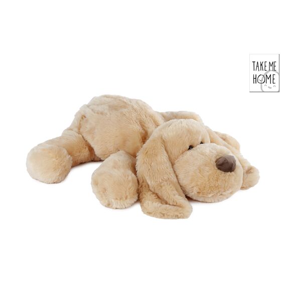 Take Me Home Hond Pluche 70Cm