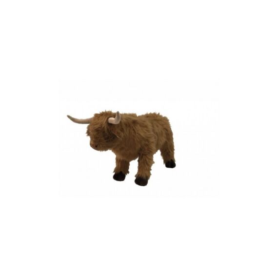 Wild And Soft Highland Cow