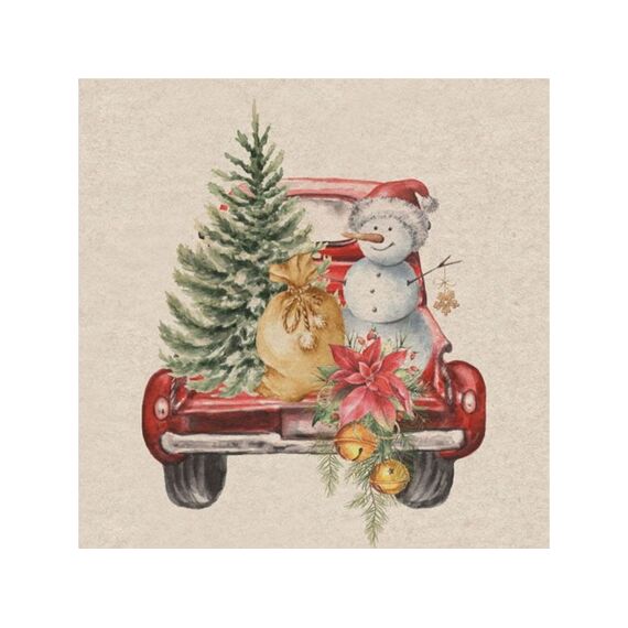 Duni Servet 33X33Cm 20 Stuks Car Snowman
