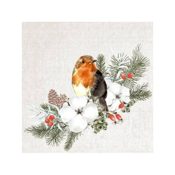 Duni Servet 33X33Cm 20 Stuks Robin Forest