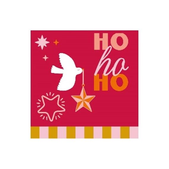 Duni Servet 33X33Cm 20 Stuks Festive Joy