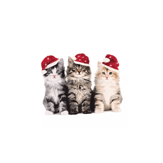 Duni Servet 33X33Cm 20 Stuks Xmas Cat