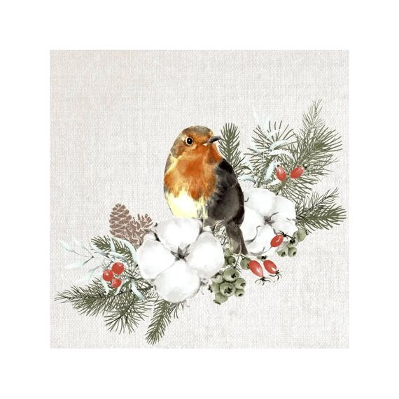 Duni Servet 24X24Cm 20 Stuks Robin Forest