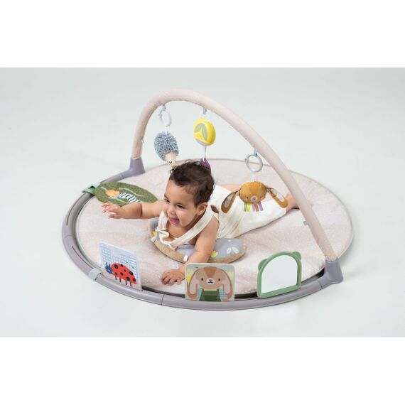 Taf Toys Tummy Time Activity Gym