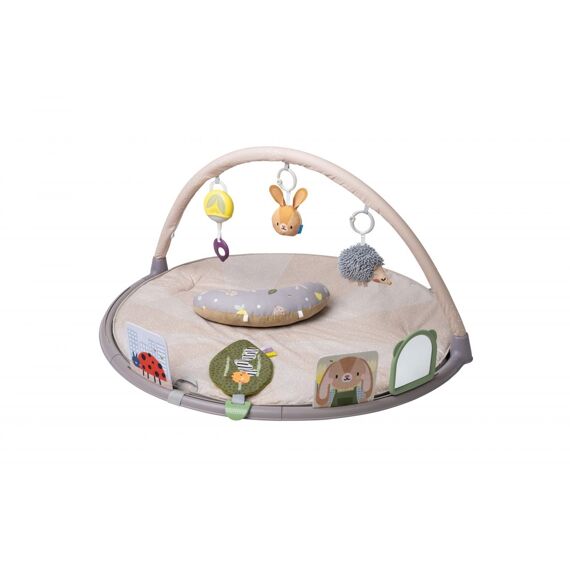 Taf Toys Tummy Time Activity Gym