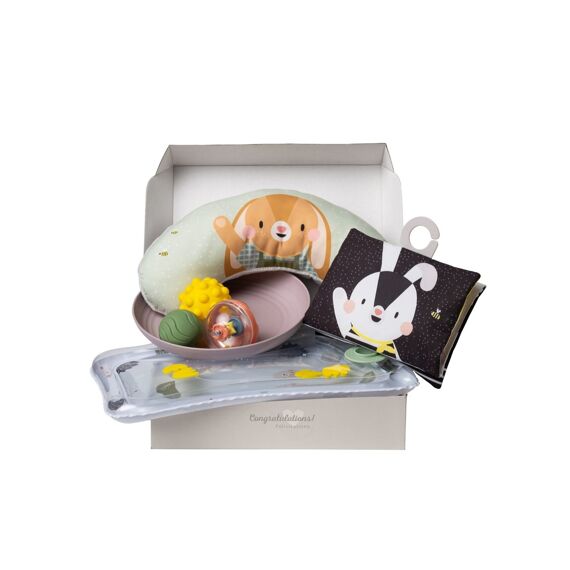 Taf Toys Tummy Time Essentials Geschenkkoffer