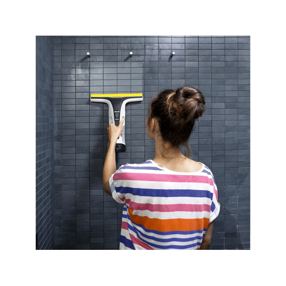 Karcher Raamreiniger Wv6 Plus