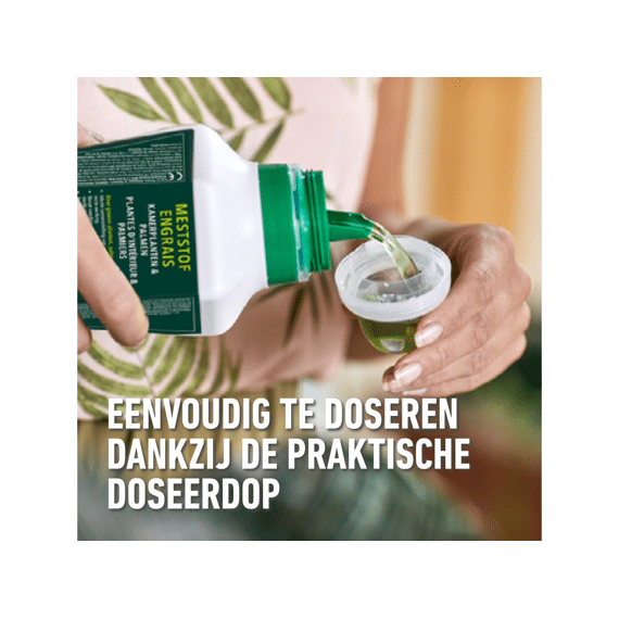 Compo Bio Vloeibare Meststof Kamerplant En Palmen 1l