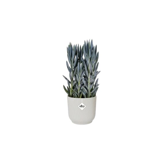 Elho Vibes Fold Rond 25Cm Zijdewit